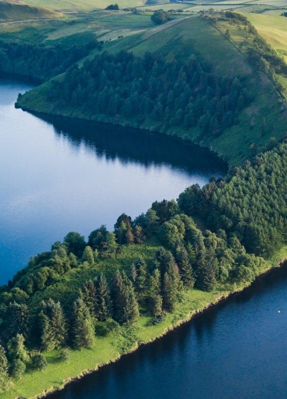 Water quality banner